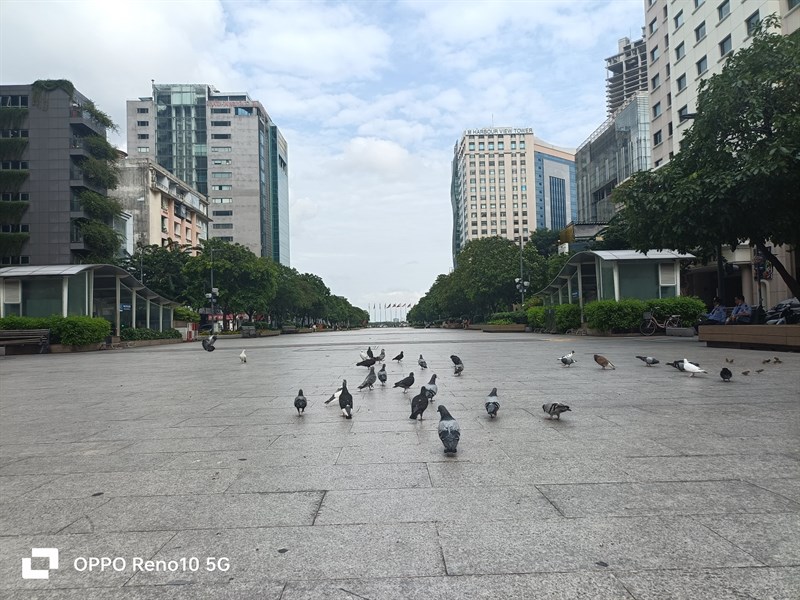 Ảnh chụp camera thường bởi OPPO Reno10 5G Ảnh chụp camera thường bởi OPPO Reno10 5G