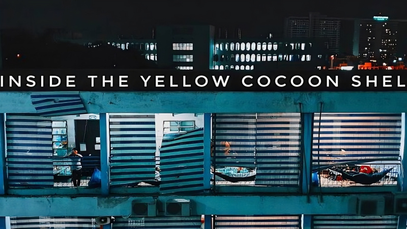 Bên Trong Vỏ Kén Vàng - Inside the Yellow Cocoon Shell