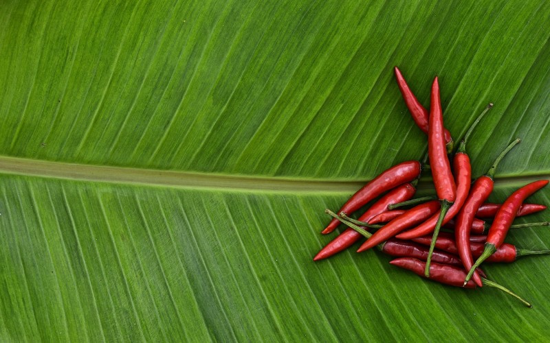 Giá ớt hôm nay 01/08/2023