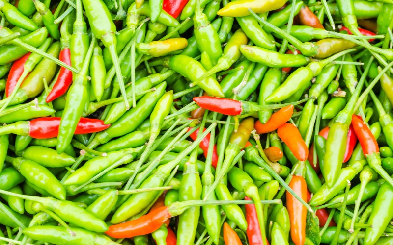 Giá ớt hôm nay 01/08/2023 cập nhật mới nhất