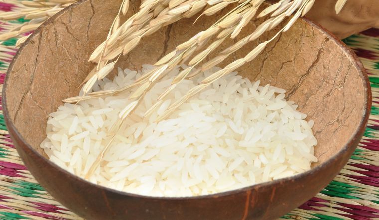 Giá lúa gạo hôm nay 02/8/2023: Thay đổi ở nhiều giống lúa