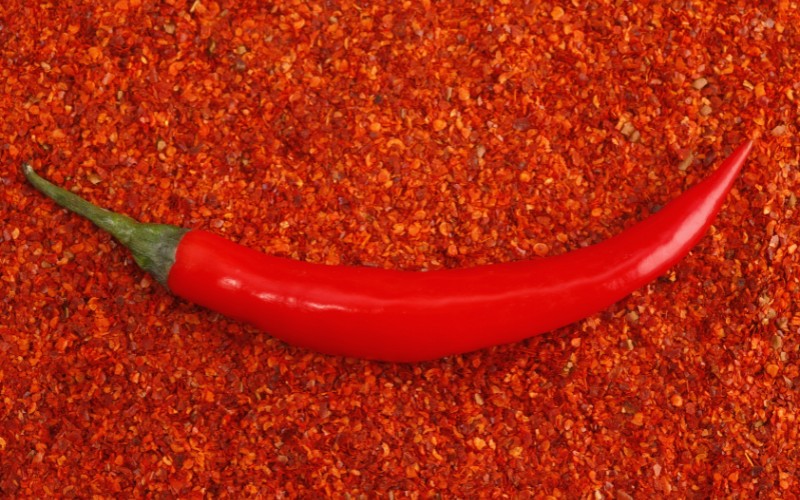 Giá ớt hôm nay 02/08/2023