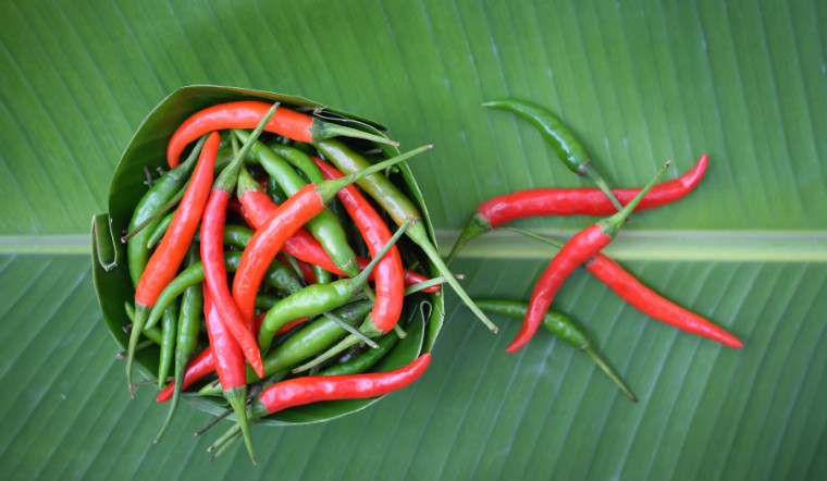 Giá ớt hôm nay 02/08/2023: Tiếp tục thêm 1 ngày bình ổn