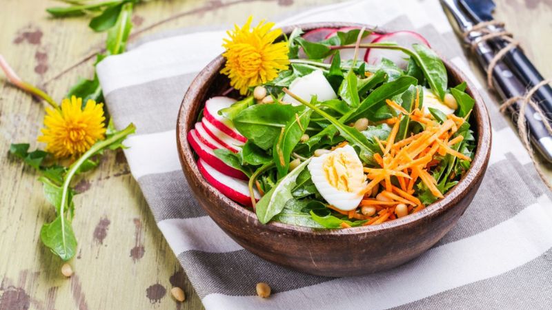 Salad trộn bồ công anh