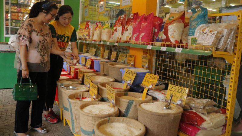 Mua gạo Angel ở đâu chính hãng, giá tốt?