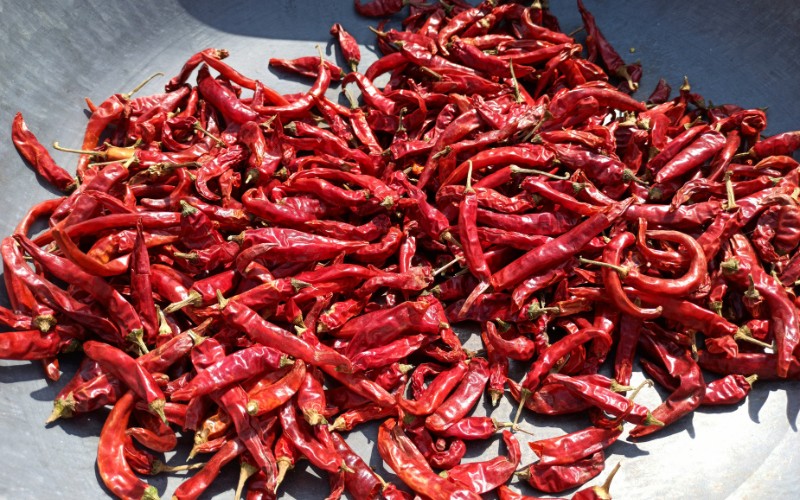 Giá ớt hôm nay 03/08/2023 mới nhất