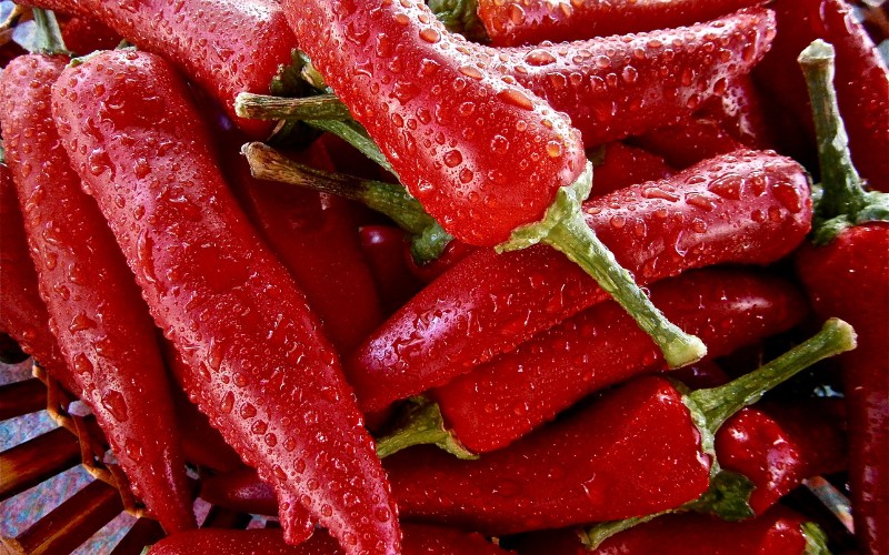 Giá ớt hôm nay 03/08/2023