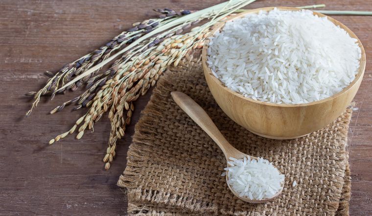 Giá lúa gạo hôm nay 05/8/2023: Không thay đổi so với hôm qua