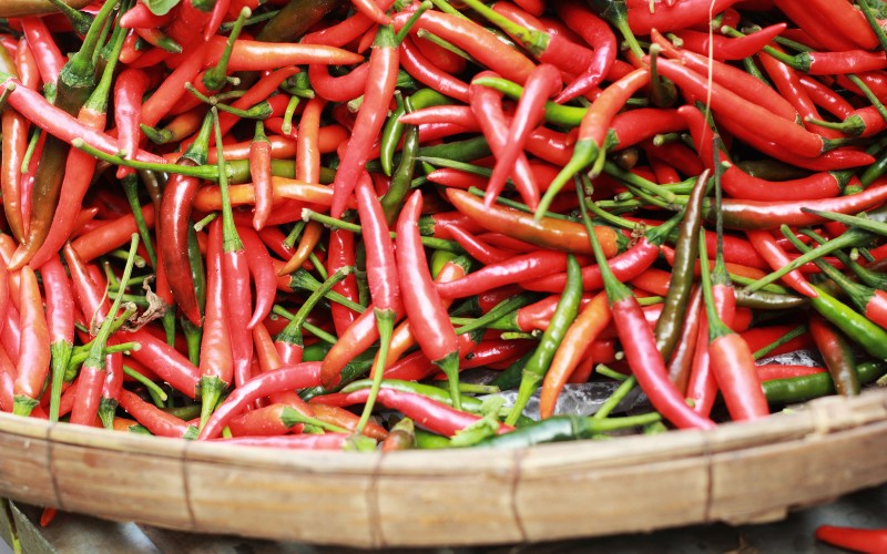 Giá ớt hôm nay 05/08/2023 cập nhật mới nhất