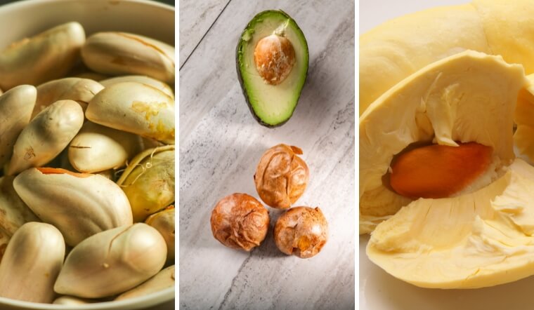 3 loại hạt thường bỏ đi có tác dụng nhuận tràng, ngừa ung thư