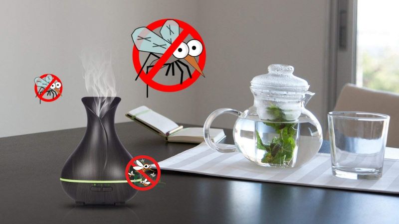 5 cách chống côn trùng hữu ích cho nhà chung cư