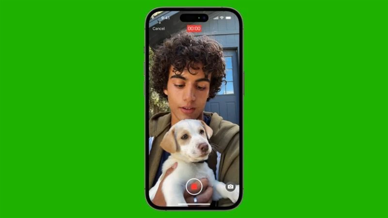 Ứng dụng Hình ảnh có thể nhận ra thú cưng của bạn