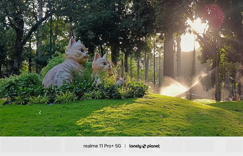 Ảnh chụp ngược sáng từ realme 11 Pro+ 5G