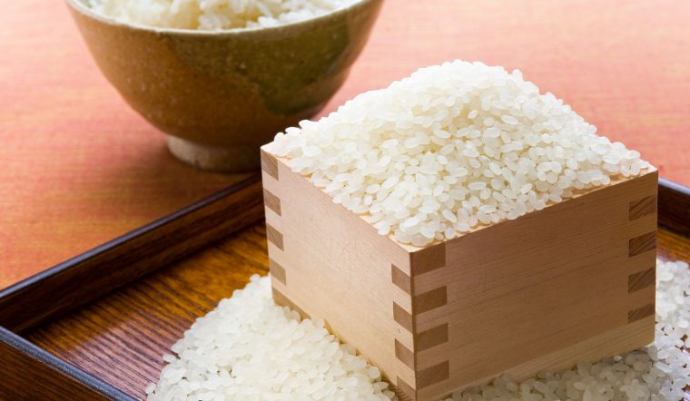 Giá lúa gạo hôm nay 10/8/2023: Không thay đổi