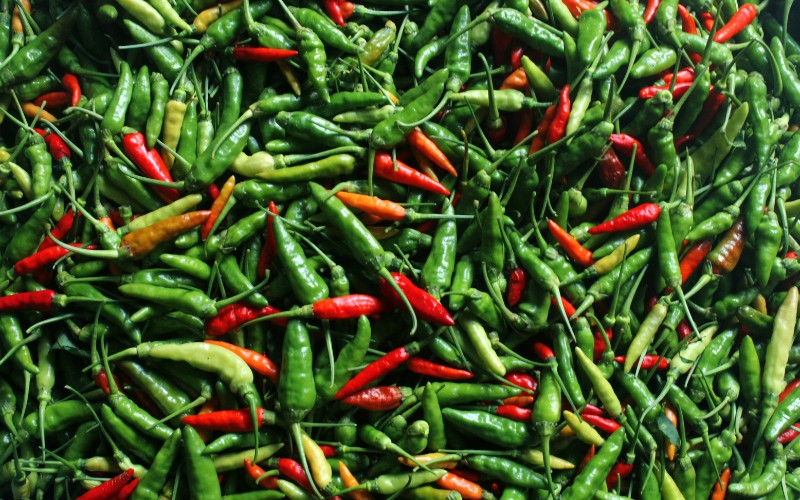 Giá ớt hôm nay 11/08/2023 mới nhất