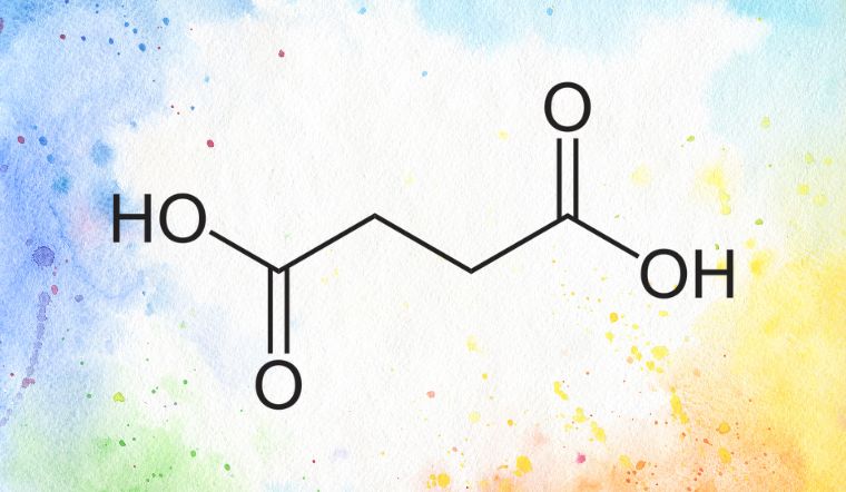 Succinic acid là gì trong mỹ phẩm? Có tác dụng gì cho da?