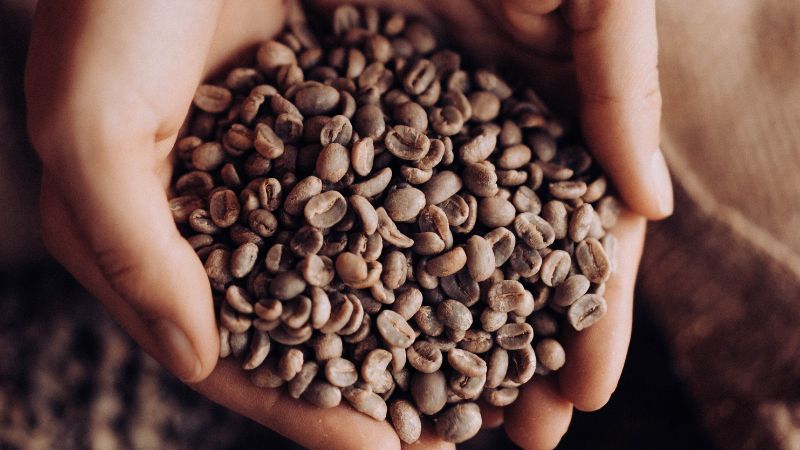Giá cà phê trong nước hôm nay Giá cà phê trong nước hôm nay
