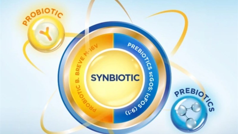 Synbiotic là gì? Lợi ích của synbiotic đối với sức khỏe con người