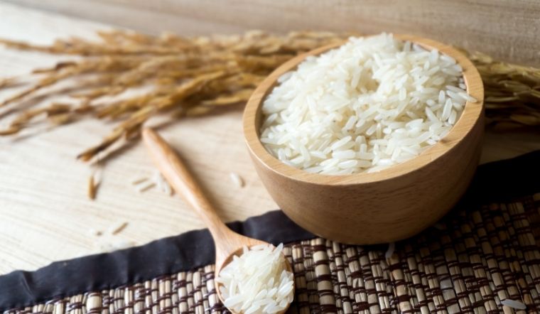 Giá lúa gạo hôm nay 16/8/2023: Giống lúa OM giảm giá