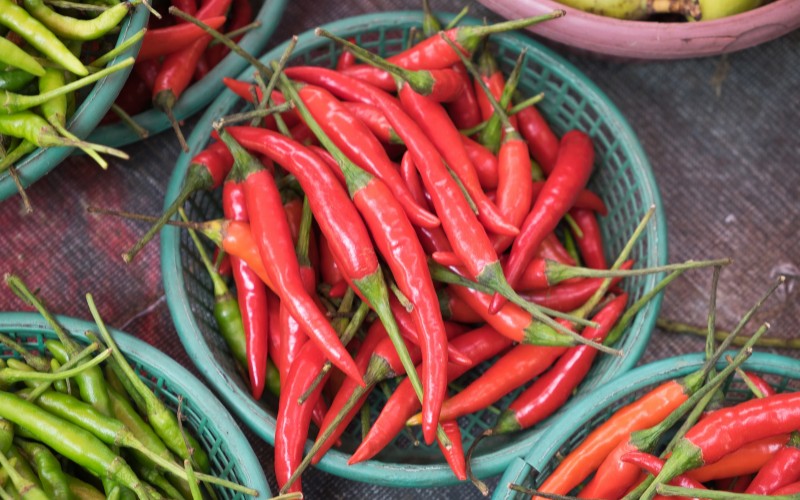 Giá ớt hôm nay 16/08/2023 cập nhật mới nhất