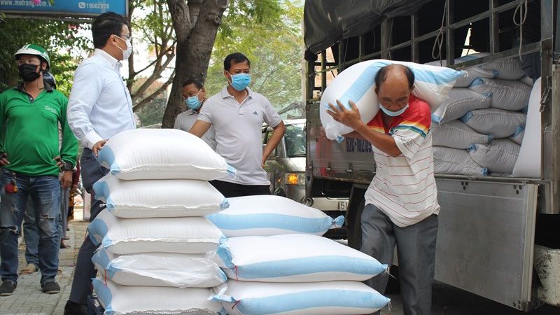 Lập kế hoạch phân phát và giám sát