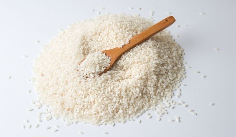 Giá lúa gạo hôm nay 17/8/2023: Lúa IR 50404 tăng 100 đồng/kg