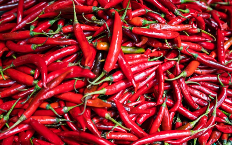 Giá ớt hôm nay 17/08/2023 Giá ớt hôm nay 17/08/2023