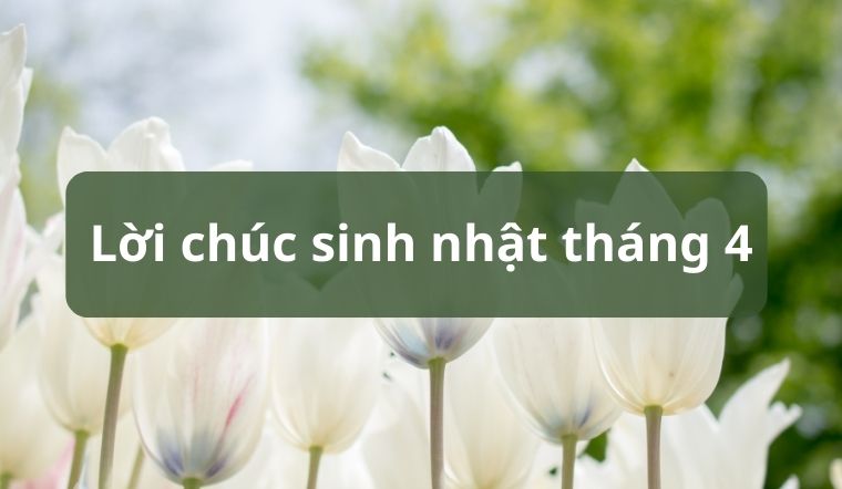 50 lời chúc sinh nhật tháng 4 hay nhất, gửi yêu thương tới bạn bè, người thân