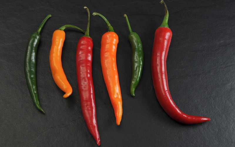 Giá ớt hôm nay 19/08/2023 cập nhật mới nhất