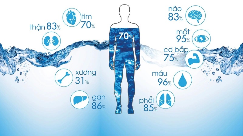 Đáp ứng nhu cầu hydrat hóa cho cơ thể