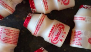 Bà bầu uống Yakult được không? Những lưu ý khi sử dụng