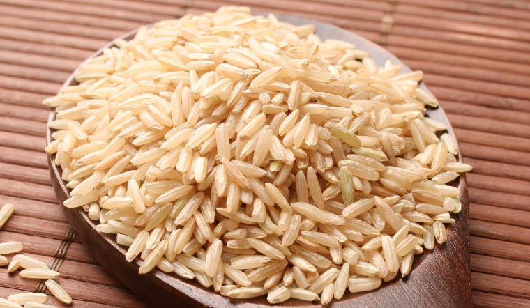 Giá lúa gạo hôm nay 23/8/2023: Không ghi nhận thay đổi mới