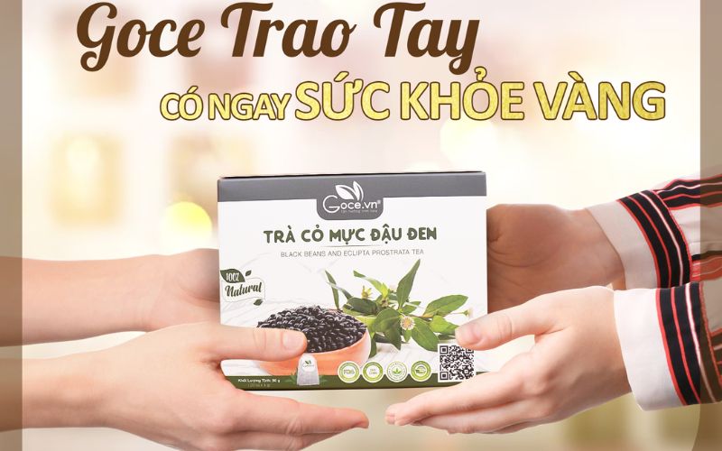 Cách sử dụng và bảo quản trà cỏ mực đậu đen túi lọc Goce