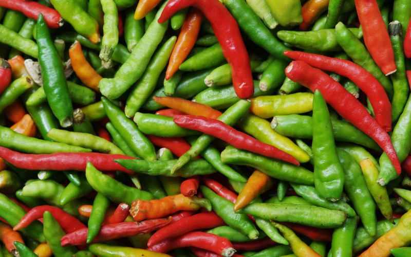 Giá ớt hôm nay 24/08/2023 cập nhật mới nhất