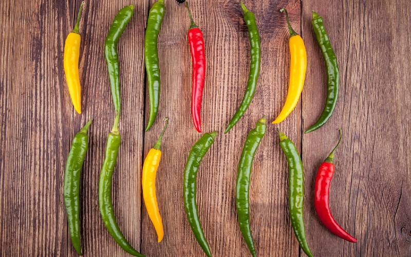 Giá ớt hôm nay 25/08/2023 cập nhật mới nhất