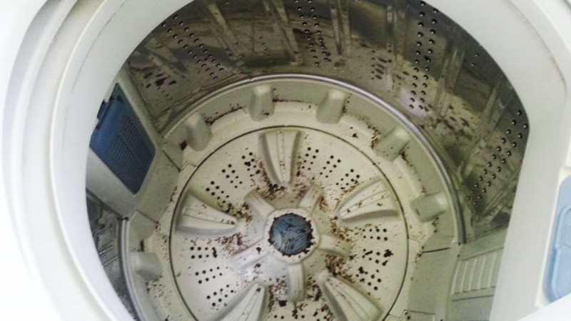 Mud and fabric fibers accumulate on the washing machine seal
