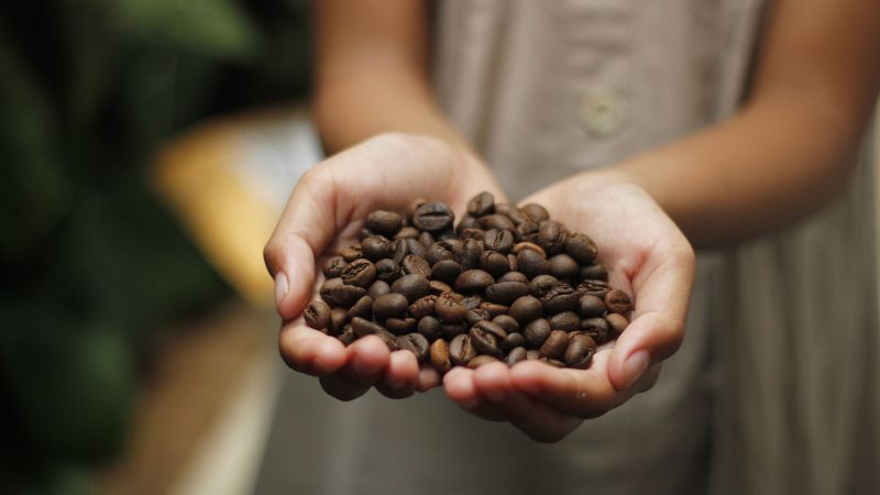 Giá cà phê Robusta giao dịch tại London Giá cà phê Robusta giao dịch tại London
