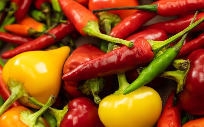 Giá ớt hôm nay 26/08/2023 mới nhất