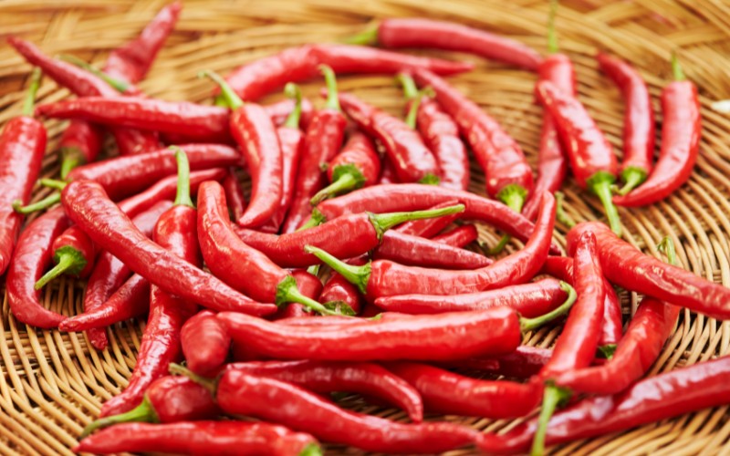 Giá ớt hôm nay 26/08/2023