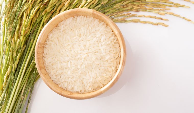 Giá lúa gạo hôm nay 28/8/2023: Hàng loạt giống lúa tăng 200 đồng/kg