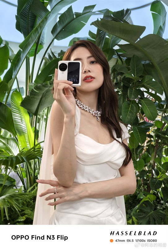 Ảnh chụp từ OPPO Find N3 Flip