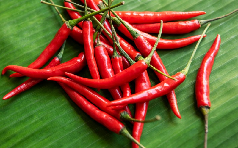 Giá ớt hôm nay 30/08/2023