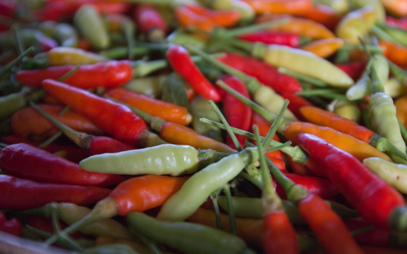 Giá ớt hôm nay 04/09/2023 Giá ớt hôm nay 04/09/2023