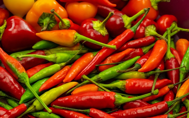 Giá ớt hôm nay 04/09/2023 cập nhật mới nhất Giá ớt hôm nay 04/09/2023 cập nhật mới nhất