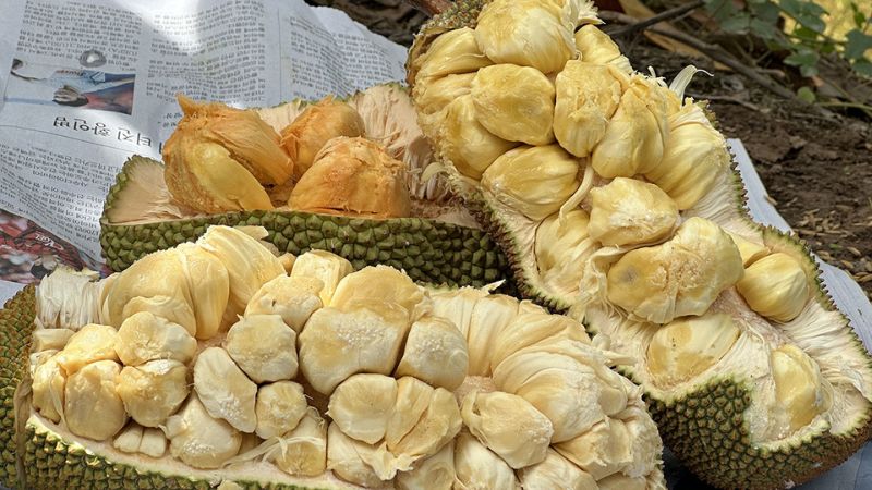 What's Special About Durian?