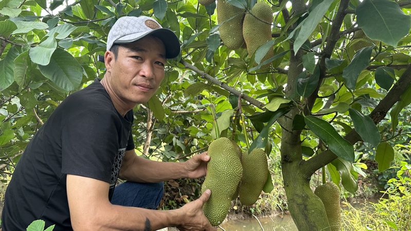 Mr. Nguyen Huu Khang is the person who successfully hybridized this durian variety