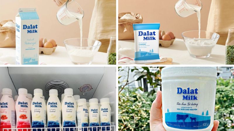 Các dòng sản phẩm sữa của Dalatmilk
