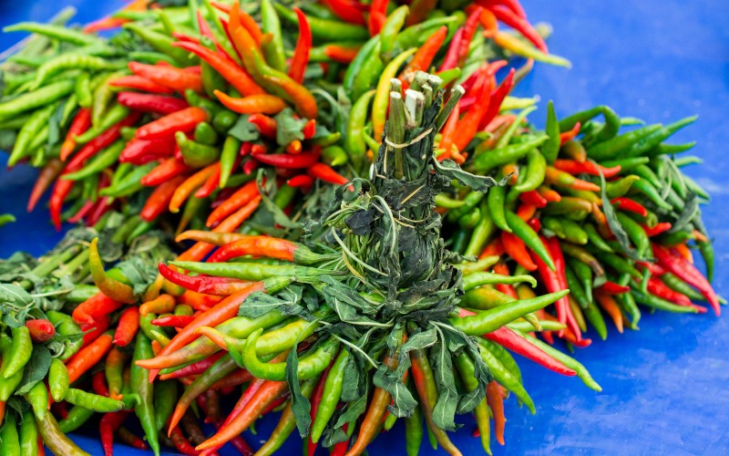 Giá ớt hôm nay 05/09/2023 mới nhất