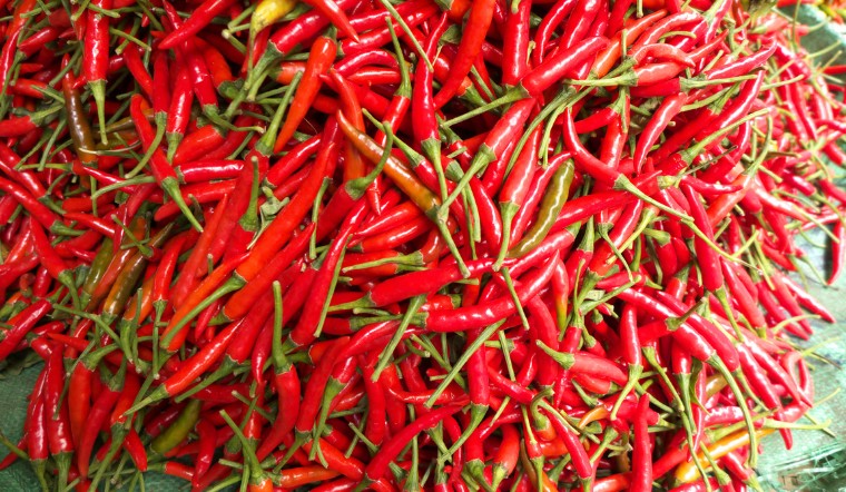 Giá ớt hôm nay 05/09/2023: Tăng mạnh đến 6.000 đồng/kg