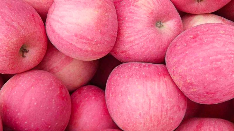 Where to buy Fuji apples? How much do they cost?
